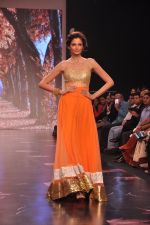 Model walk for Auro Gold show at IIJW 2013 in Mumbai on 4th Aug 2013 (16).JPG